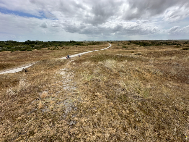Texel